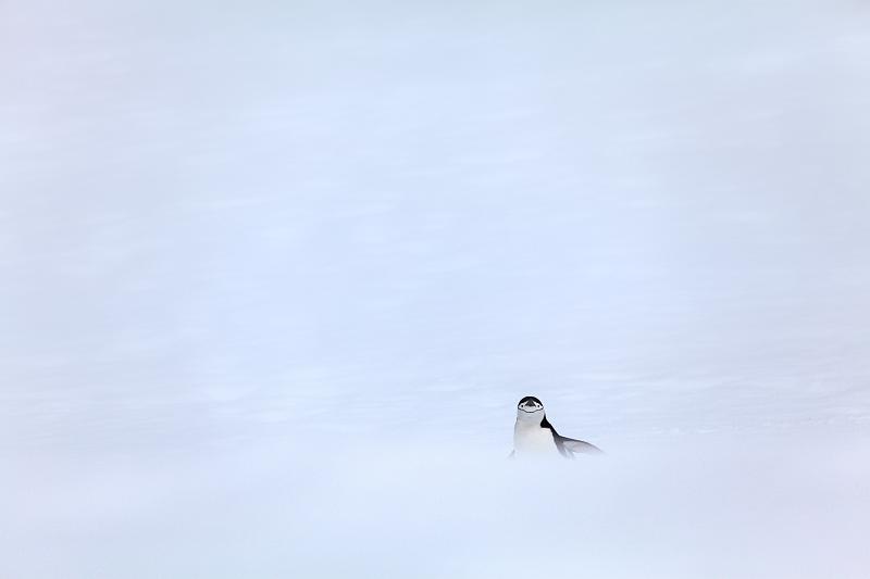 _MG_1566.jpg