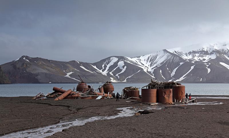 _MG_1904.JPG