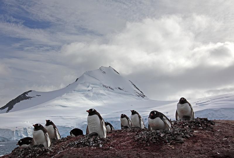 _MG_2290.JPG