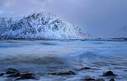 IMG_3768_1