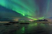 IMG_3864_3