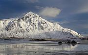IMG_4344