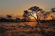 CR6_6698