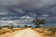 CR6_6929