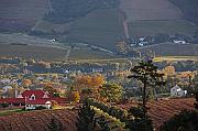 CR6_7238