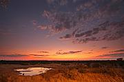 IMG_1695
