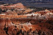 IMG_3366