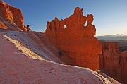 IMG_3529