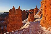 IMG_3539