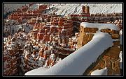 IMG_3736