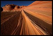 IMG_3954n