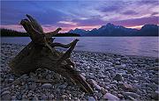 IMG_7254