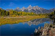 IMG_7367