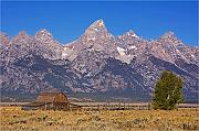 IMG_7400