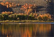 IMG_7454