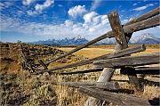 IMG_7660_1
