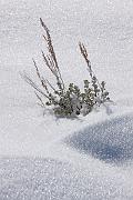 IMG_8630