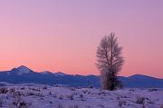 IMG_8741