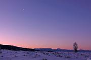IMG_8742