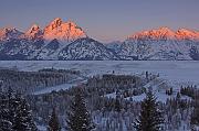 IMG_8758
