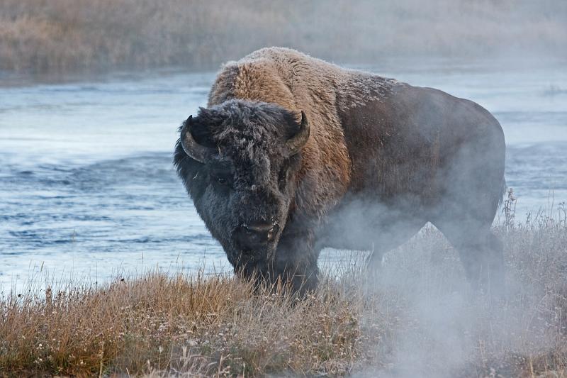 IMG_8173.jpg