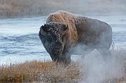 IMG_8173