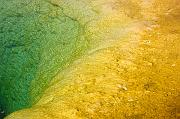 IMG_8530