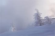 IMG_9118
