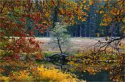 IMG_0218