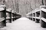 IMG_0974