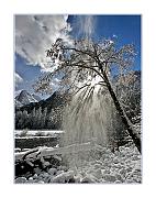 IMG_1193